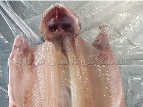فیله بدون سر و دم پروانه ای قزل آلا