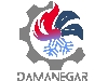 گروه مهندسی دمانگار