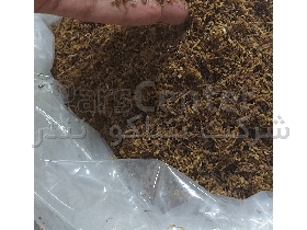 توتون رشته ایی مخصوص سیگار