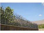 حفاظ شاخ گوزنی قهوه ای سوخته مدل 120*50