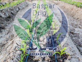 نوارتیپ با قیمت اقتصادی
