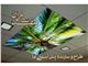 طراح و مجری سقف های طرح آسمان