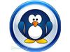 نرم افزار حسابداری پنگوئن آبی
