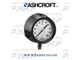 Ashcroft Pressure Gauge 1220