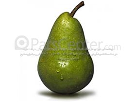 درخت گلابی مشو، سال 1402 pear