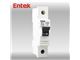 کلید مینیاتوری Entek 6SC06