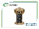 شیر پنوماتیک Martonair S/556 F/42 | شیر کنترل جهت 5 پورت