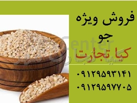 جو دامی و جو بذری