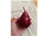 درخت گلابی قرمز آنجو#Red Anjou Pear
