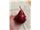 درخت گلابی قرمز آنجو#Red Anjou Pear
