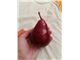 درخت گلابی قرمز آنجو#Red Anjou Pear