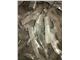 Supplier charcoal