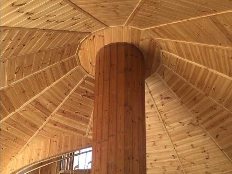 شرکت بانی روف