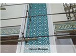 پروژه نمای مسجد میدان هروی