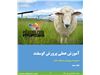 آموزش کاربردی مدیریت پرورش و تولیدمثل گوسفند
