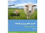 آموزش کاربردی مدیریت پرورش و تولیدمثل گوسفند