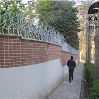 حفاظ شاخ گوزنی