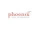 عایق رطوبتی PHOENIX