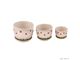 گلدان طبیعی 3سایز سرامیکی