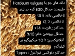 مشحصات جو قزاقستان