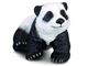 پاندا