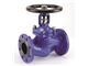 Globe Valve Iran