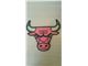 CHICAGO BULLS