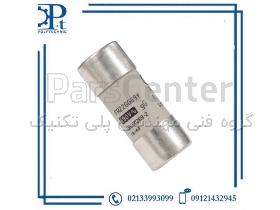فیوز سیلندری Ferraz Shawmut مدل FR22GG69V25 سایز 22×58 | فیوز صنعتی 25 آمپر gG قدرتی
