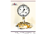 گیج فشار دیافراگمی ویکا مدل DSS10M (با رنج فشار 40 بار)