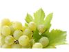 Export of white grape juice concentrate to Armenia