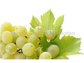 White grape juice concentrate