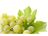 Export of white grape juice concentrate to Armenia