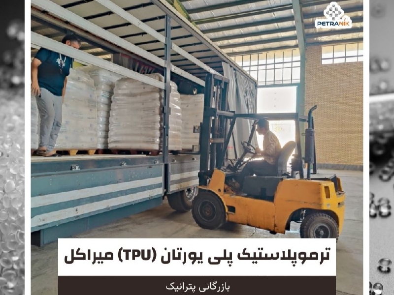 شرکت بازرگانی پترانیک