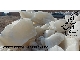 سنگ نمک سفید ممتاز