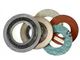 واشر گسکت   Sealing Gaskets-پتروجم