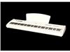 پیانو دیجیتال P10 برگمولر -قابل حمل
