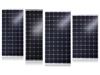 پنل خورشیدی 250 وات ینگلی
