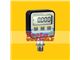 Digital Pressure Test Gauge, Model : Lab Dmm