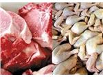 فروش گوشت برزیلی و مرغ به صورت گرم ومنجمد