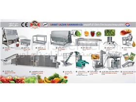 ماشین آلات خط تولید میوه جات ، صیفی جات و سبزیجات خشک با خشک کن کانتینیوس و بسته بندی چهارتوزین