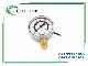 پرشر سوئیچ گیج WIKA PGS11 رنج 0 تا 400 بار مخصوص CO2