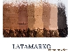 پودر کاکائو آلکالایز اسپانیایی LATAMARKO LM60 | فروش عمده 25 کیلویی
