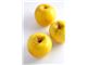 Apple juice concentrate, packed in 265 kg metal drums
