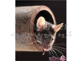 دستگاه التراسونیک دفع موش