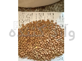 عدس