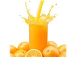 Orange Juice Concentrate