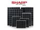 پنل خورشیدی شارپ وسانتک