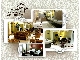 Tour مشهد و قم ججز فنادق+989192349675