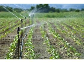 آبیاری اتوماتیک باغ و زمین کشاورزی با موبایل