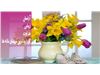 فروش گل و ارسال گل در فروشگاه آشیانه گل